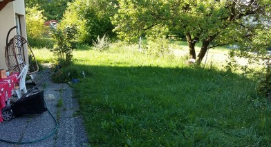 Tondre et entretenir votre pelouse et votre talus Image 15