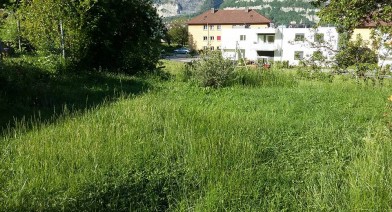 Tondre et entretenir votre pelouse et votre talus Image 8
