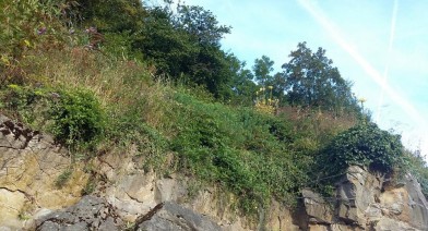 Tondre et entretenir votre pelouse et votre talus Image 3