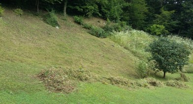 Tondre et entretenir votre pelouse et votre talus Image 29