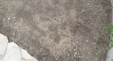 Tondre et entretenir votre pelouse et votre talus Image 33