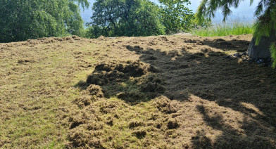 Tondre et entretenir votre pelouse et votre talus Image 41