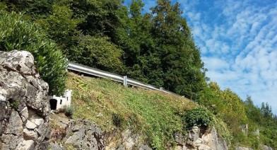 Tondre et entretenir votre pelouse et votre talus Image 6