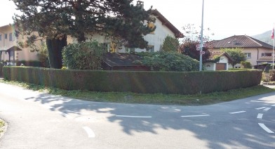 Tailler et entretenir votre haie Image 10