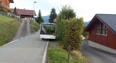 Tailler et entretenir votre haie Image 22