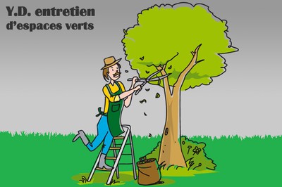 Tailler vos plantes, vos arbustes et arbres fruitiers