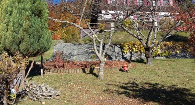 Tailler vos plantes, vos arbustes et arbres fruitiers Image 13