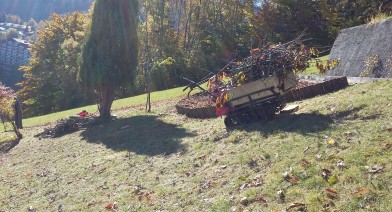 Tailler vos plantes, vos arbustes et arbres fruitiers Image 18