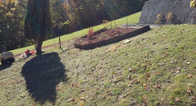 Tailler vos plantes, vos arbustes et arbres fruitiers Image 19