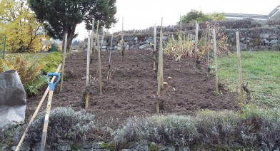 Potager, platebandes, terrasses, allées et biotopes Image 8
