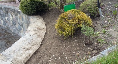 Potager, platebandes, terrasses, allées et biotopes Image 19