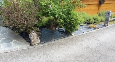 Potager, platebandes, terrasses, allées et biotopes Image 31