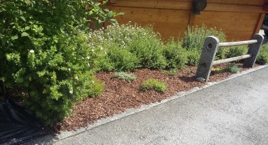 Potager, platebandes, terrasses, allées et biotopes Image 32