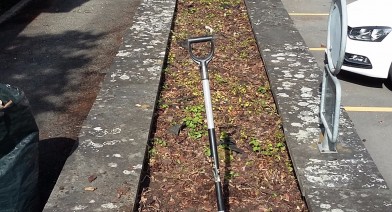 Potager, platebandes, terrasses, allées et biotopes Image 37