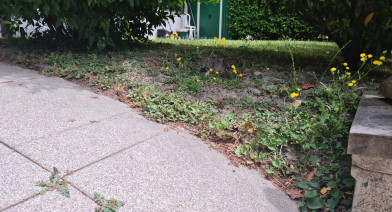 Potager, platebandes, terrasses, allées et biotopes Image 76