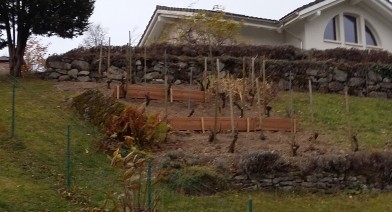 Potager, platebandes, terrasses, allées et biotopes Image 9